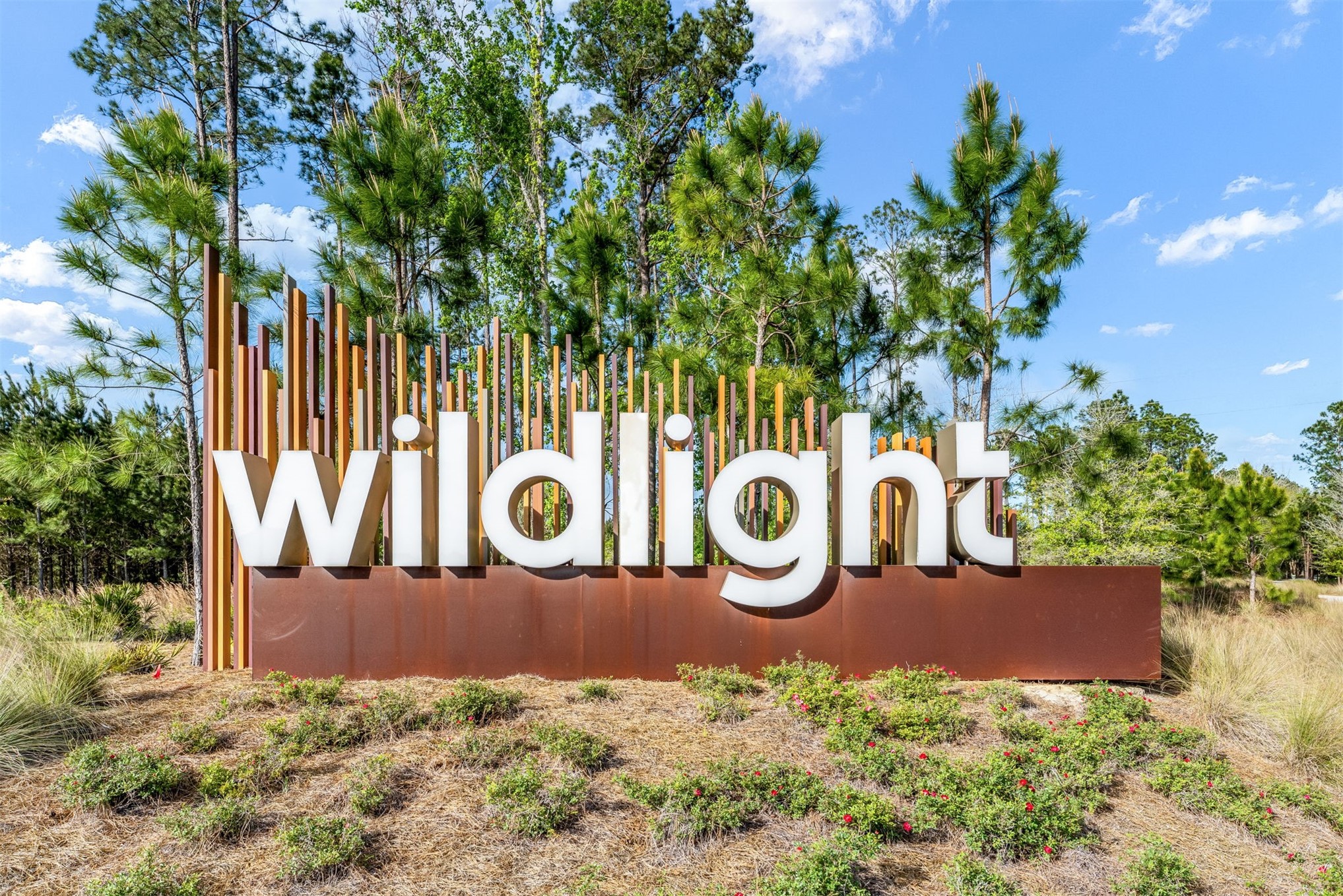 253 Spartina Lane Yulee, FL 32097 - Photo 19 of 22