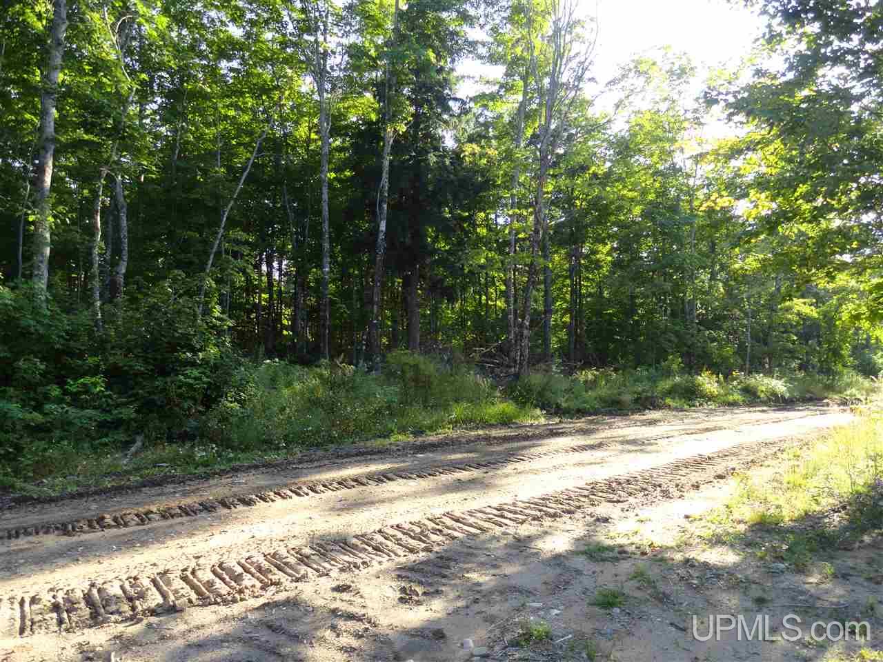 80 SOUTH Off Co Road Ishpeming, MI 49849 - Photo 9 of 20
