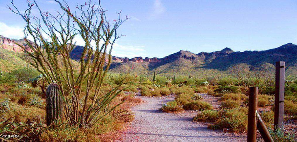 21167 West Berkeley Road Buckeye, AZ 85396 - Photo 27 of 29 Skyline Regional Park