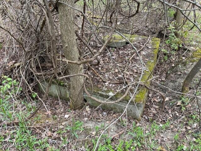 422 Argusville Road Sharon, NY 13459 - Photo 5 of 6 422 Arg (Septic 1)