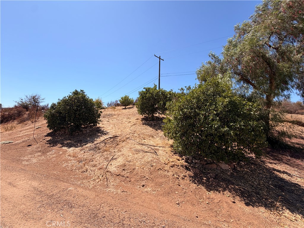 32600 Byers Road Menifee, CA 92584 - Photo 42 of 45 Mature fruit trees