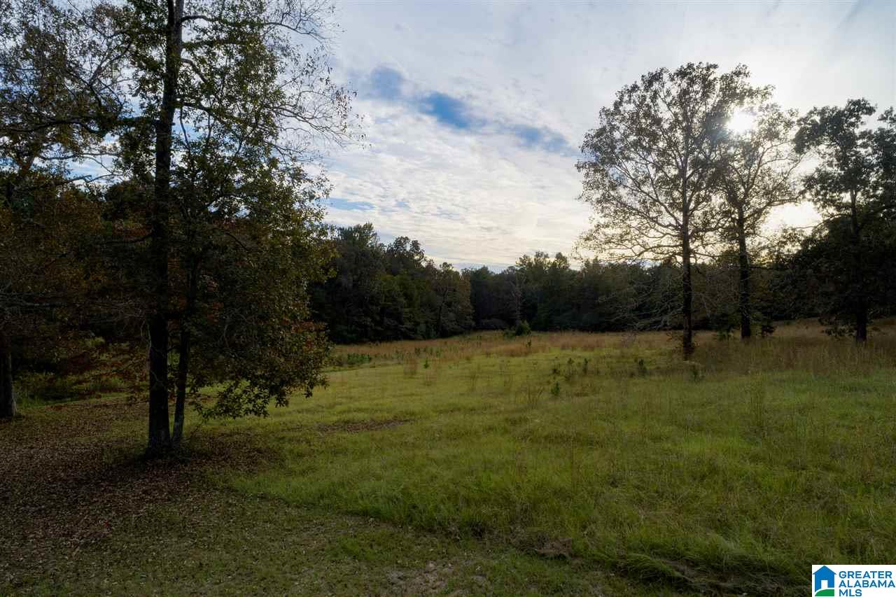 Serene Lake Road, Unit 8471 McCalla, AL 35111 - Photo 22 of 30