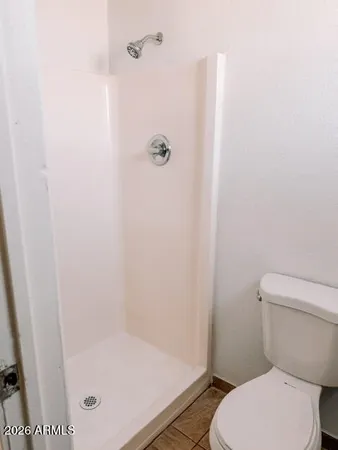 a bathroom with a shower and a toilet
