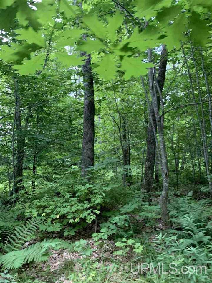 Tbd Off Old Mill Road Toivola, MI 49965 - Photo 7 of 10 Gallery Image 7