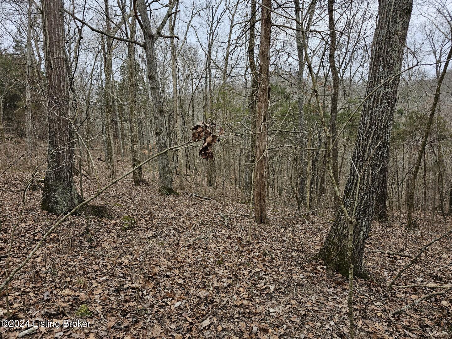 2 Lone Star Road Upton, KY 42784 - Photo 9 of 16 20240209_133518 (Large)