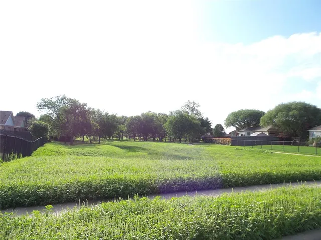 a view of a grassy field with trees