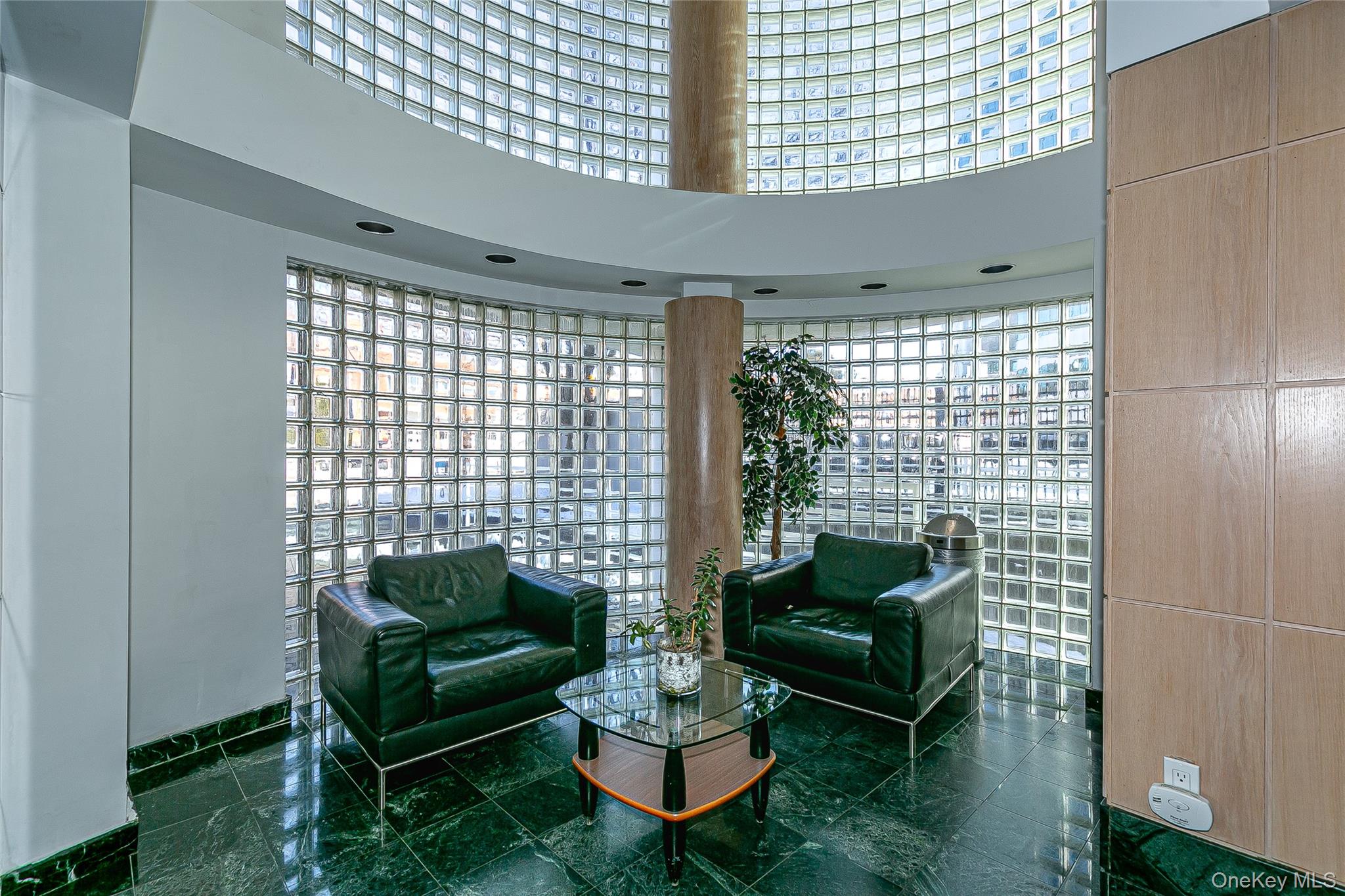 88 Cutter Mill Road, Unit 418 Great Neck, NY 11021 - Photo 3 of 23