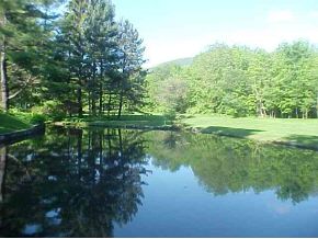 1312 Lower Hollow Road Dorset, VT 05251 - Photo 7 of 9 Gallery Image 7