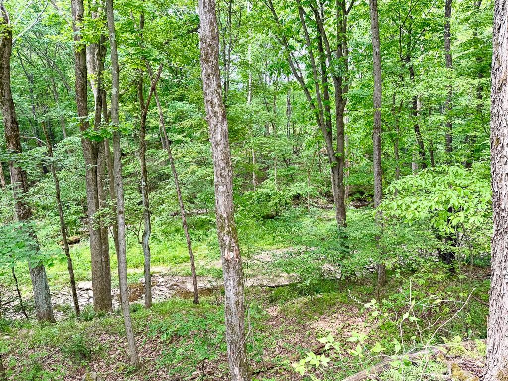 2385 River Road Hermitage, PA 16148 - Photo 12 of 21 A creek bed sits at the base of a beautiful ravine and fills after heavy Spring Rains.