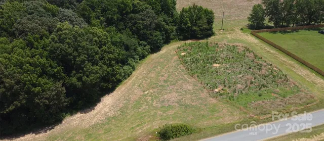 a view of a yard with plants