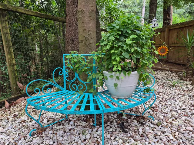 $333,000 | 101 Dowling Avenue, Walterboro, SC 29488