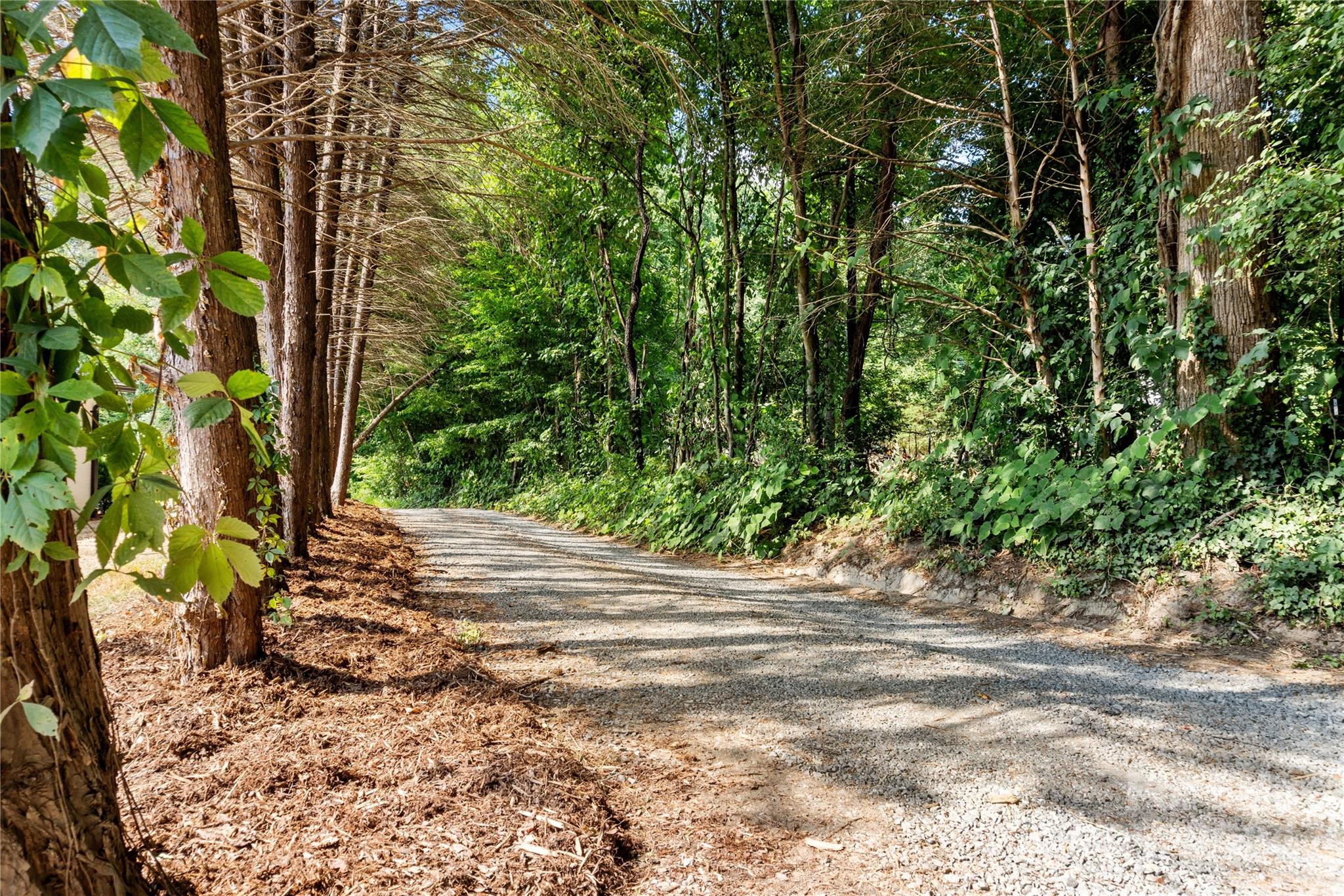 4879 Joe Powell Road Morganton, NC 28655 - Photo 35 of 35 a view of a yard with plants and trees