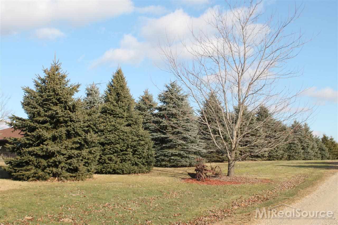 3855 Bishop Road Dryden, MI 48428 - Photo 26 of 27