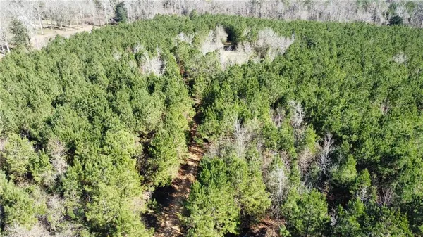 $649,999 | 66100 La 1054 Highway, Kentwood, LA 70444