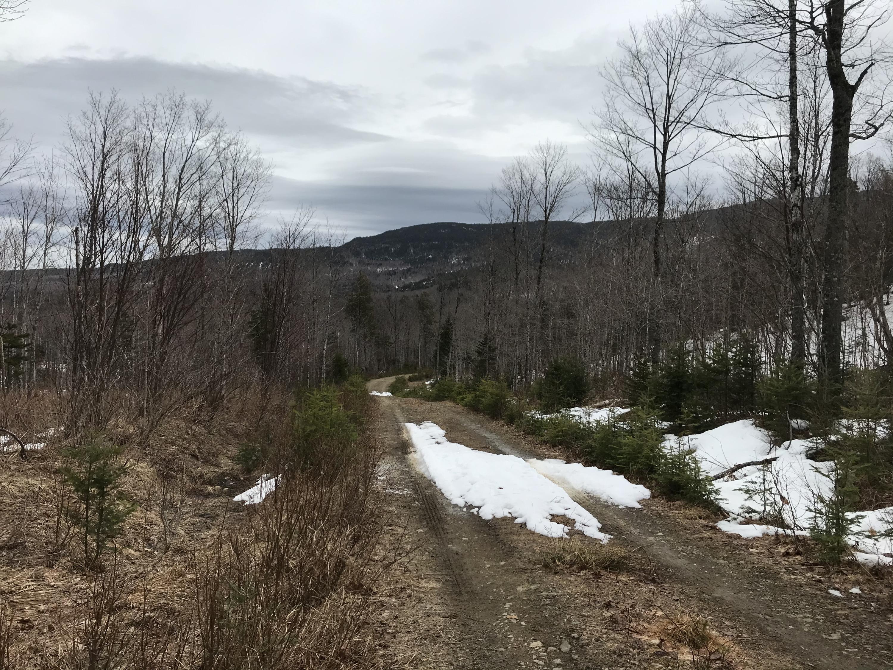 Lot 22 No Road Jackman, ME 04945 - Photo 24 of 39 74DC2243-D0F1-417D-83F9-44431C8C08C8