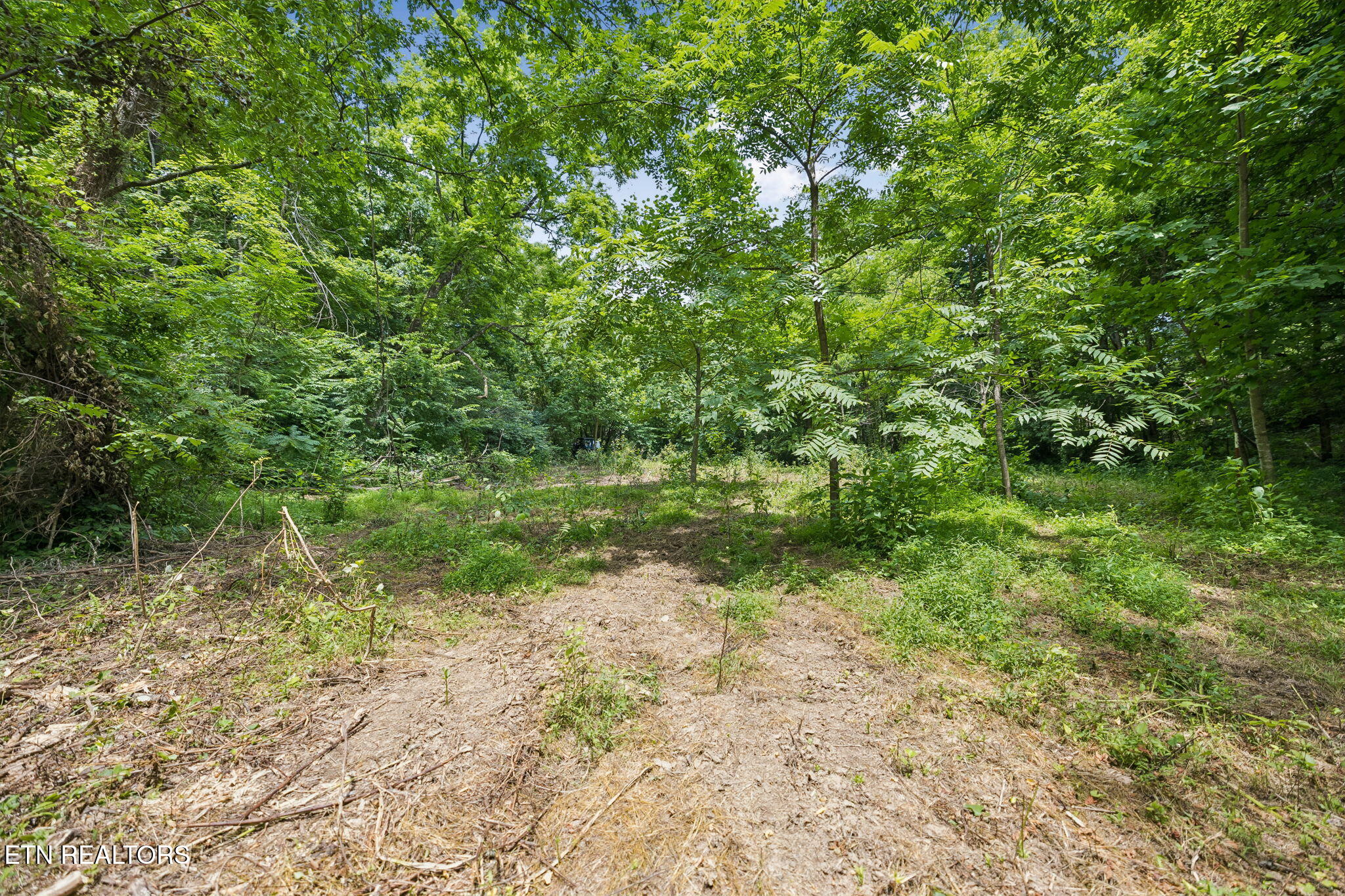 Knob Road Rutledge, TN 37861 - Photo 15 of 46 9-344 Knob Rd - 009