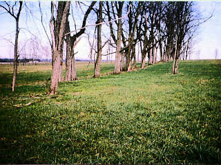 0 Leestown Road Lexington, KY 40511 - Photo 4 of 4 Photo 4