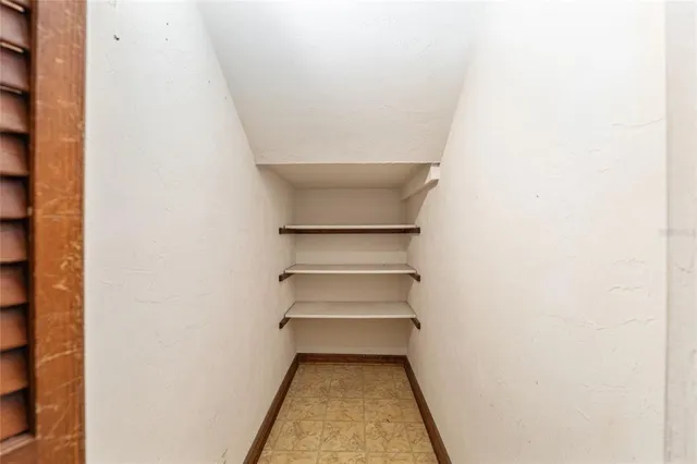 a view of a forest with trees in the background