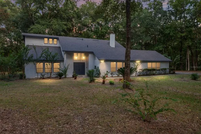 a view of a park with large trees