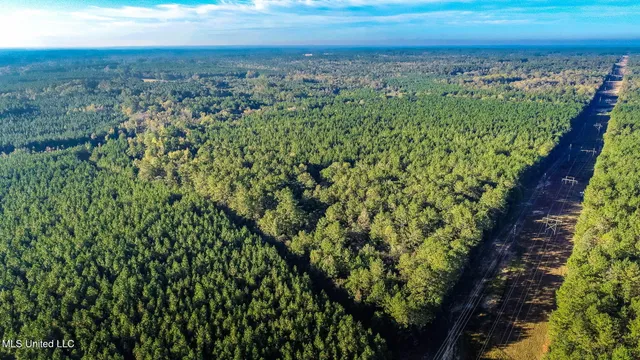$189,500 | 28-acres Porter Hudson Road, Sumrall, MS 39482