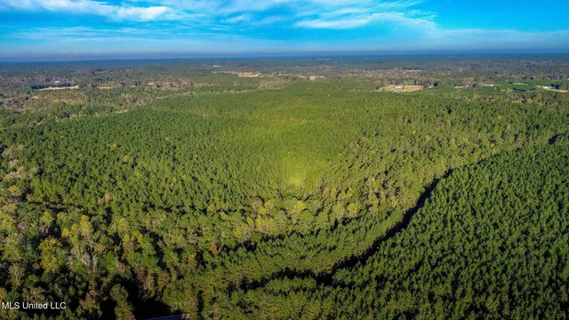 $189,500 | 28-acres Porter Hudson Road, Sumrall, MS 39482