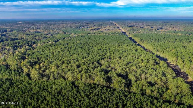 $189,500 | 28-acres Porter Hudson Road, Sumrall, MS 39482