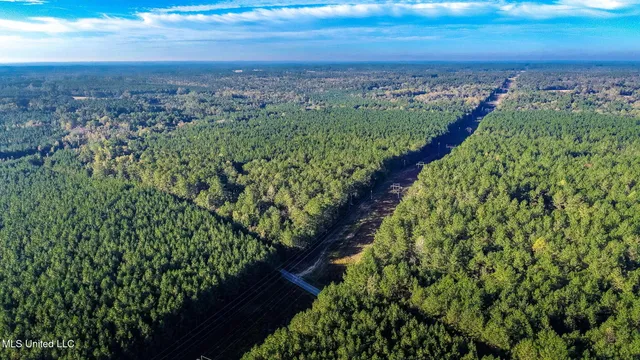 $189,500 | 28-acres Porter Hudson Road, Sumrall, MS 39482