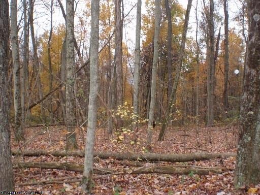 0 Stemple Ridge Road Aurora, WV 26705 - Photo 1 of 4 Gallery Image 1