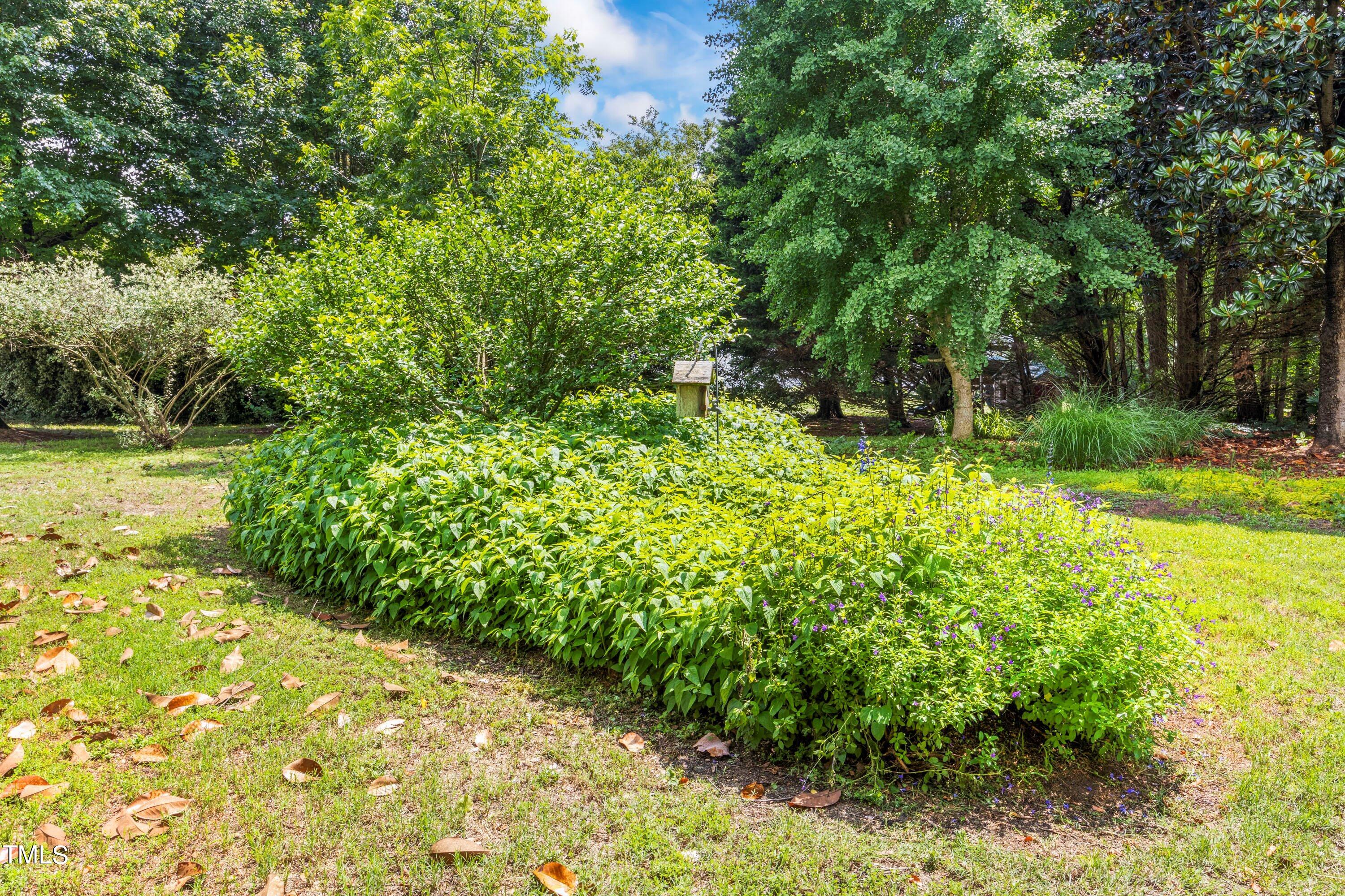 4404 Catkins Court Raleigh, NC 27616 - Photo 47 of 53 05-202405244404 Catkins Ct_0002