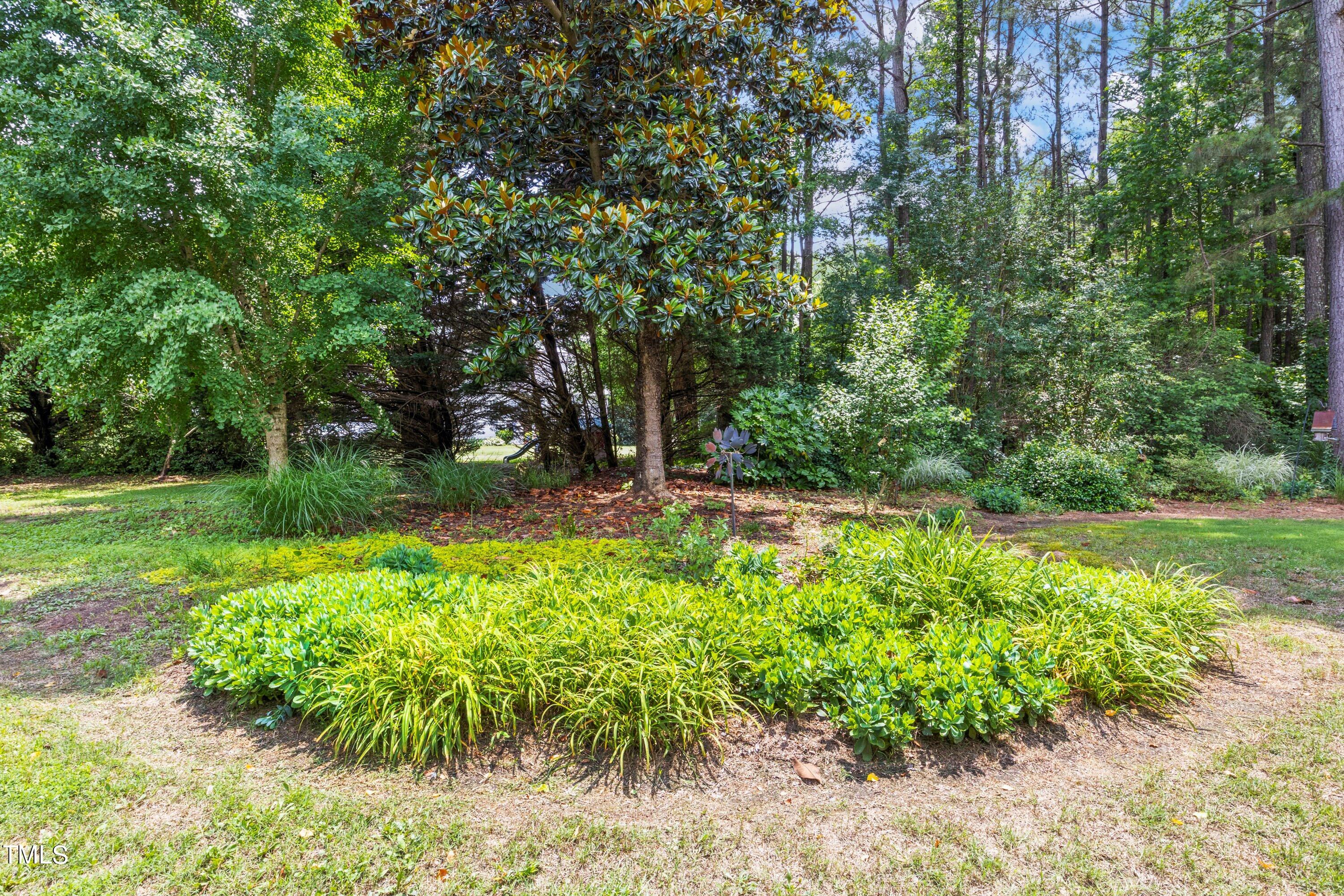 4404 Catkins Court Raleigh, NC 27616 - Photo 50 of 53 08-202405244404 Catkins Ct_0007