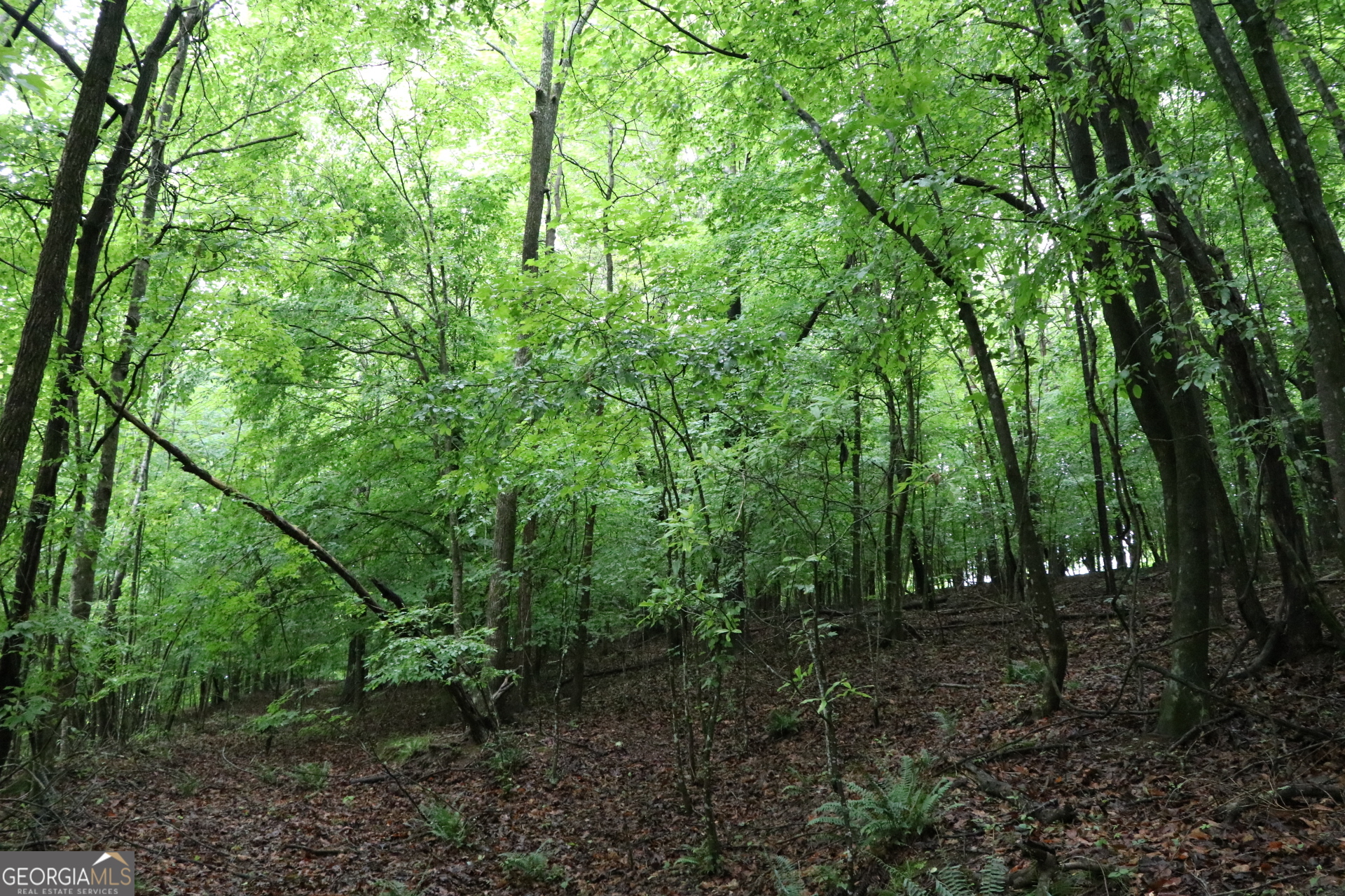 833 Neal Gap Road Summerville, GA 30747 - Photo 57 of 86