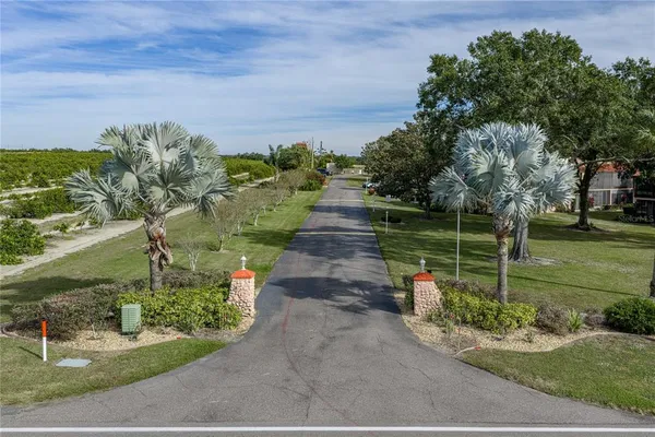 a view of a park with large trees
