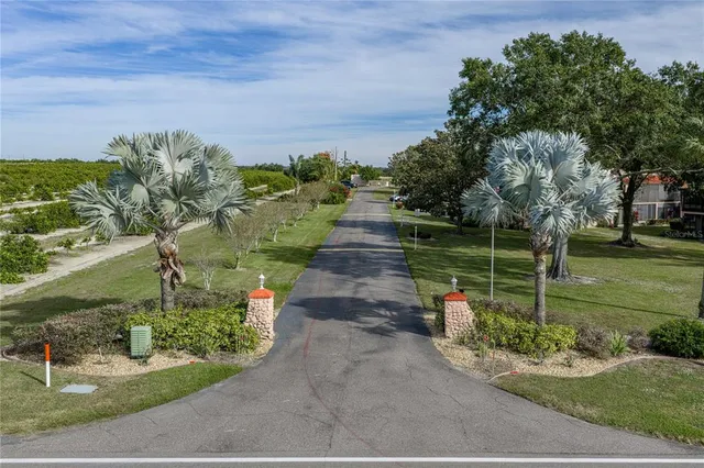 a view of a park with large trees