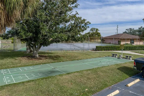 a view of a garden with large tree