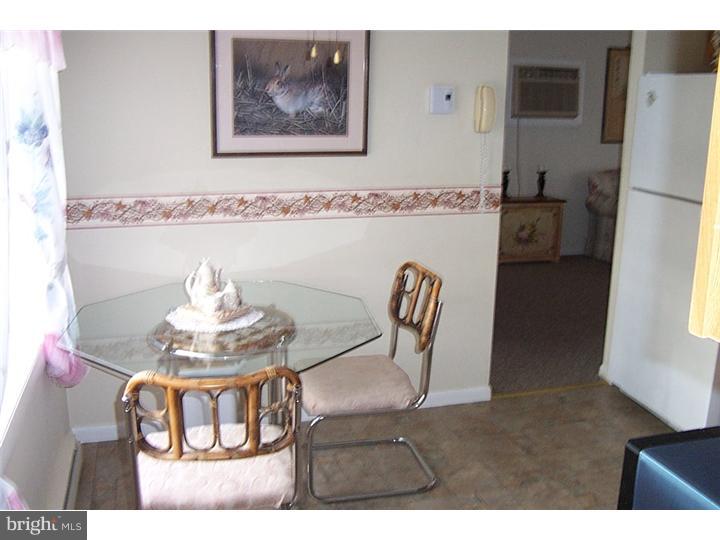 103 Park Avenue Sinking Spring, PA 19608 - Photo 11 of 14 Kitchen