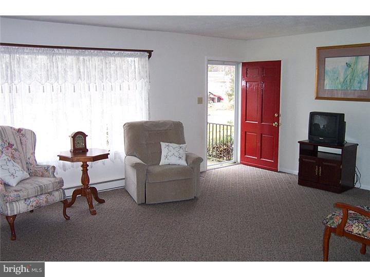 103 Park Avenue Sinking Spring, PA 19608 - Photo 5 of 14 Living Room