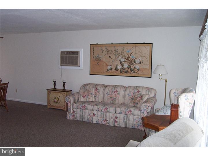 103 Park Avenue Sinking Spring, PA 19608 - Photo 6 of 14 Living Room
