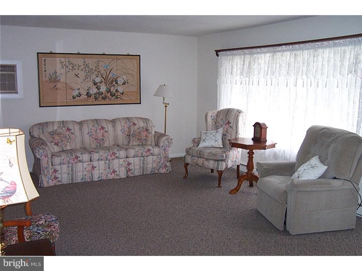 103 Park Avenue Sinking Spring, PA 19608 - Photo 7 of 14 Living Room