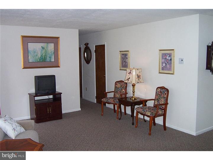 103 Park Avenue Sinking Spring, PA 19608 - Photo 8 of 14 Living Room
