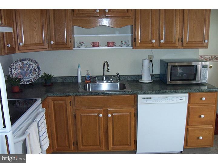 103 Park Avenue Sinking Spring, PA 19608 - Photo 10 of 14 Kitchen