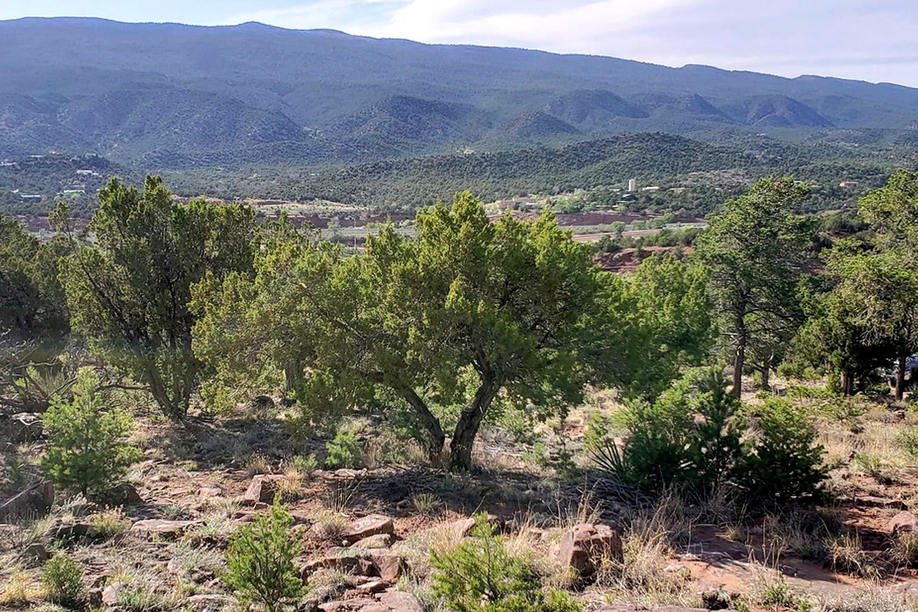 42 Conejo Road Tijeras, NM 87059 - Photo 8 of 14 Gallery Image 8
