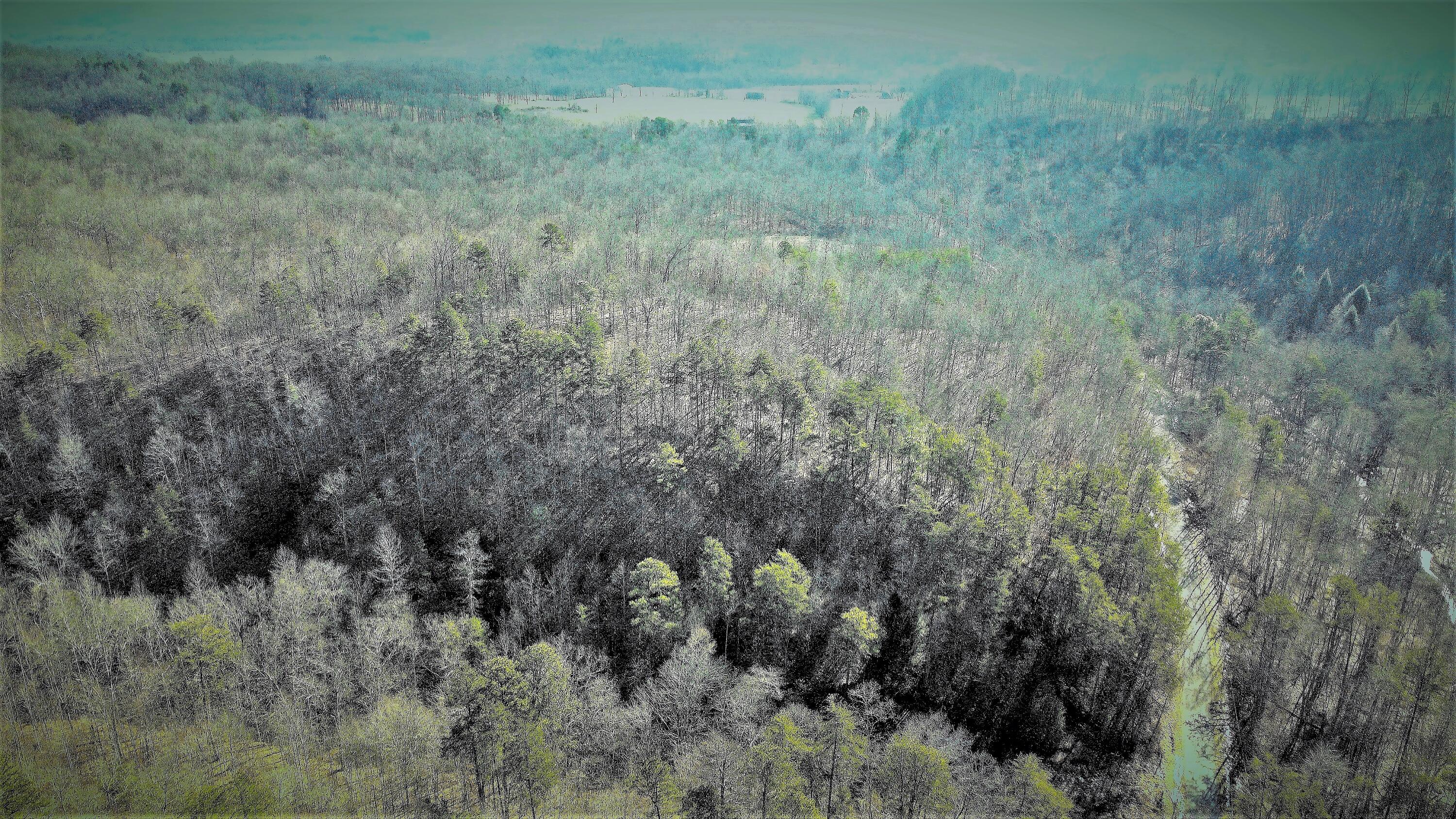 999 Slate Lick Road London, KY 40741 - Photo 12 of 14 DJI_0418