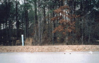 0 Forest Pines Road Williston, SC 29853 - Photo 1 of 1 Gallery Image 1