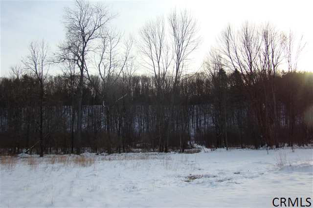 834 Old Rte 29 Milton, NY 12863 - Photo 8 of 9 Photo 8