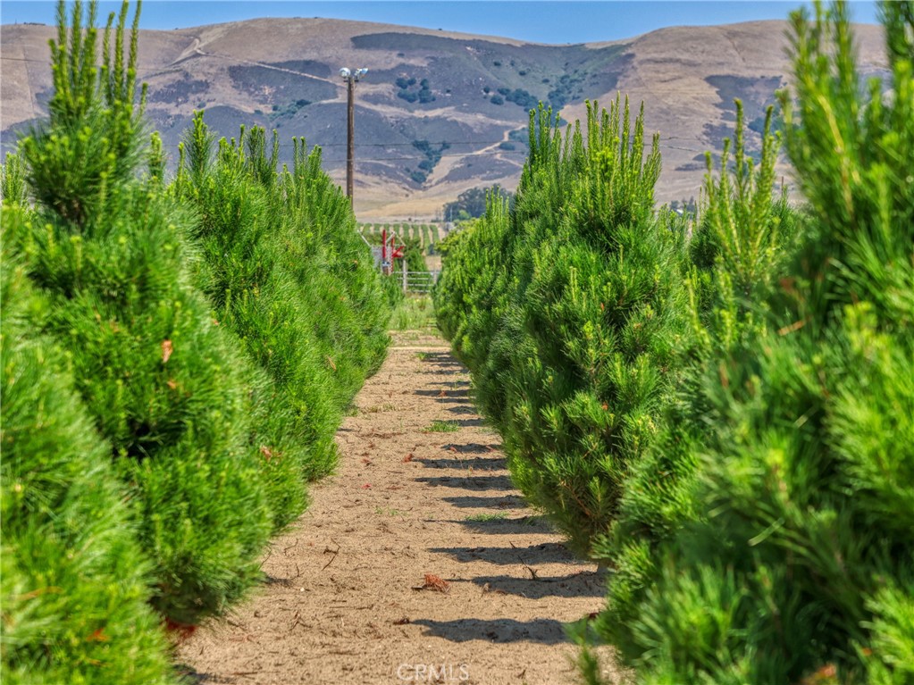 424 Bermuda Place Nipomo, CA 93444 - Photo 11 of 62 a view of a pathway of a building