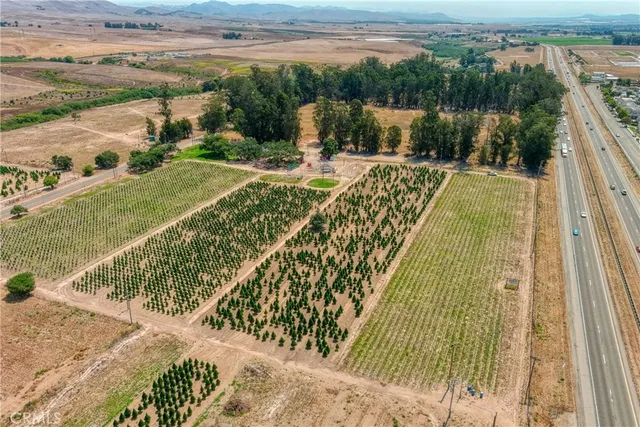 a picture of a yard with a table and chair