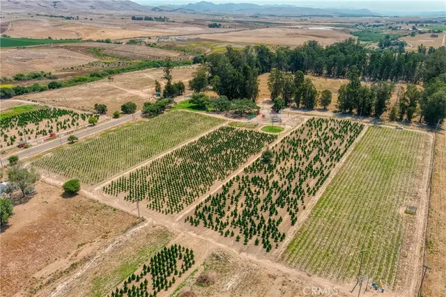 a view of a park with large trees