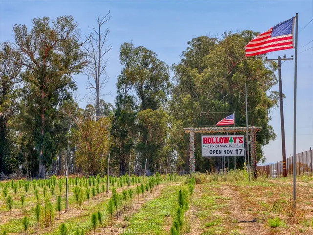 a view of swimming pool with a yard