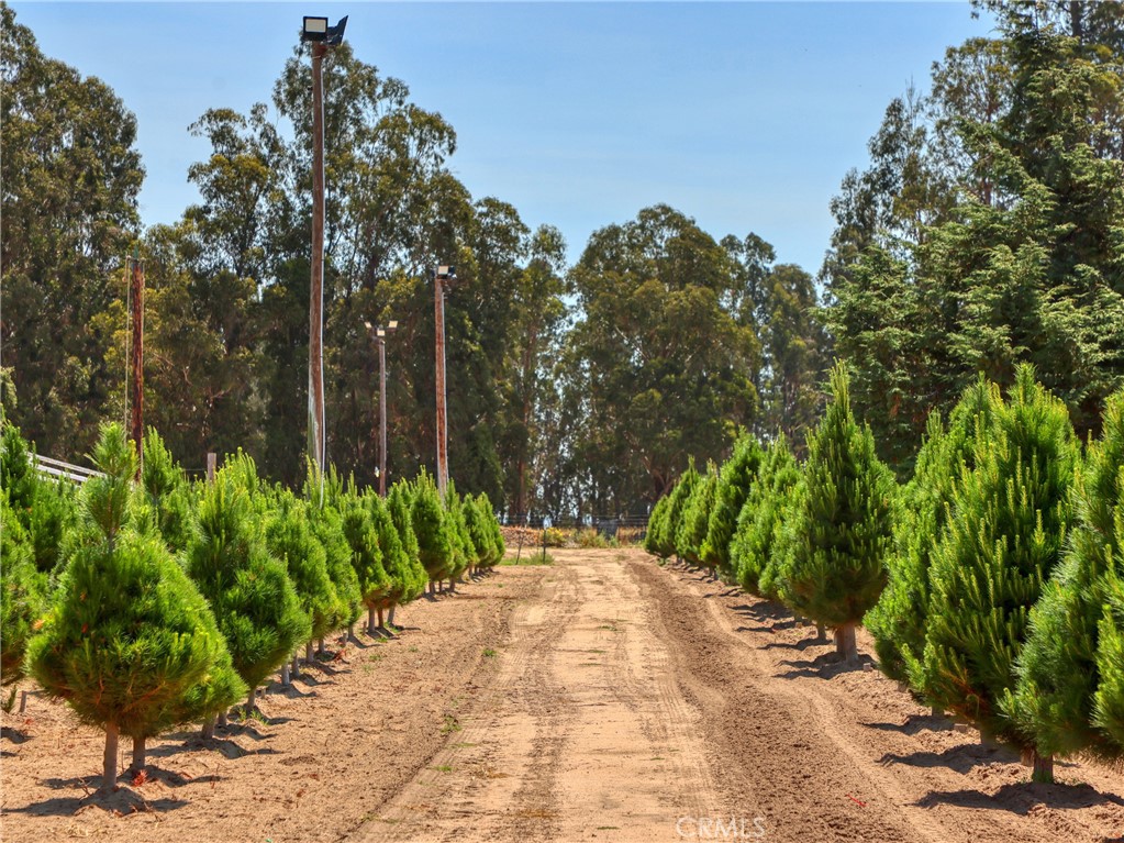 424 Bermuda Place Nipomo, CA 93444 - Photo 10 of 62 a view of backyard