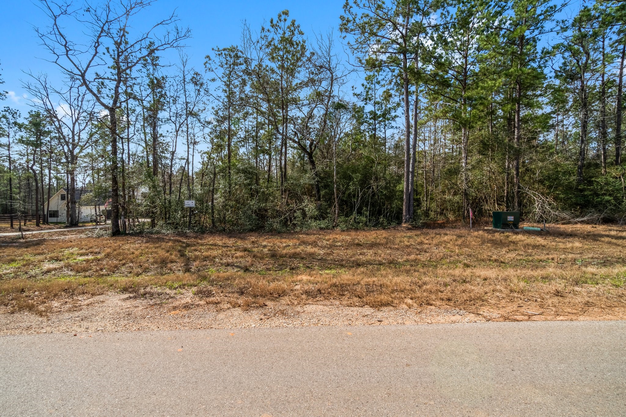 15491 Red Hawk Road Willis, TX 77378 - Photo 8 of 20 a view of road view with large trees